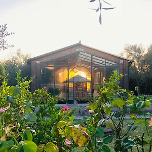  Alloggio per agriturismo Pian De' Somari Italia